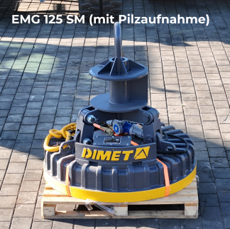 125 mit Pilzaufnahme